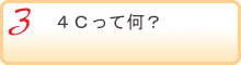 知っておきたい３つのポイント_４Ｃとは